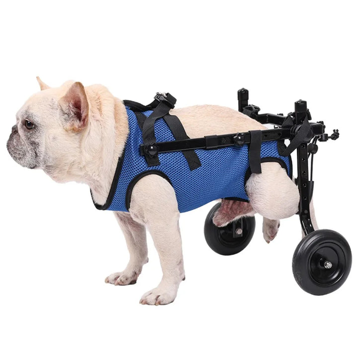 Dog Wheelchair