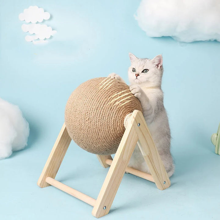 Cat playing with cat scratching ball