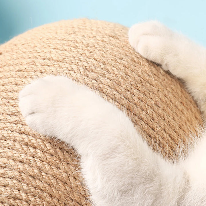 Close-up of cat’s paw on cat scratching ball