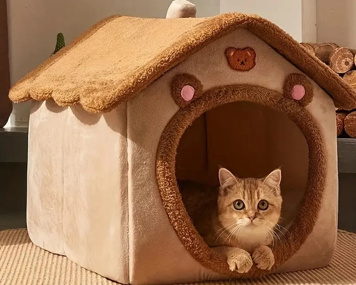 Cat resting in Cat House