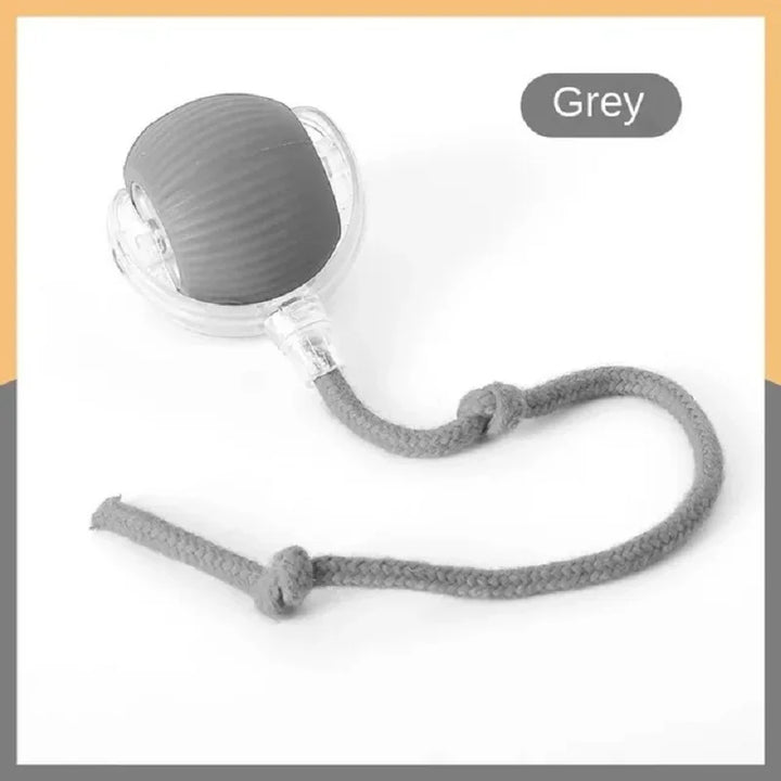 Gray silicone cat ball toy
