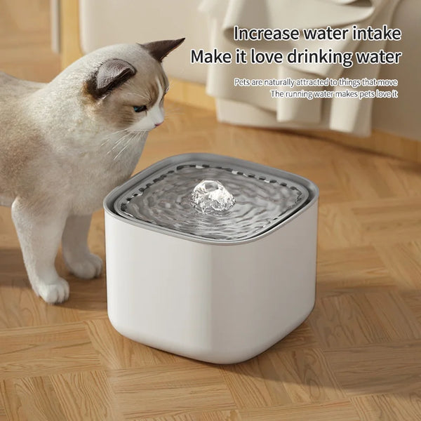 Cat drinking water from a 3L automatic pet water fountain