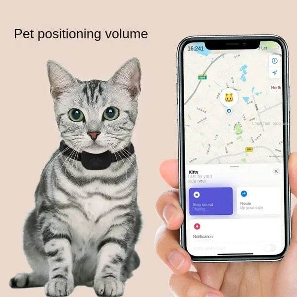 Dog GPS tracker collar on cat – pet tracking app display