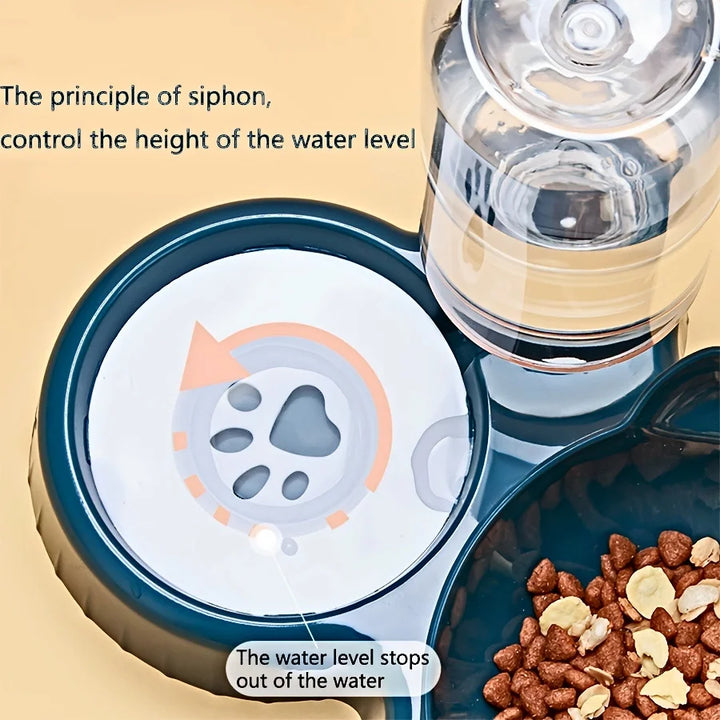 Cat and dog feeding bowls with water