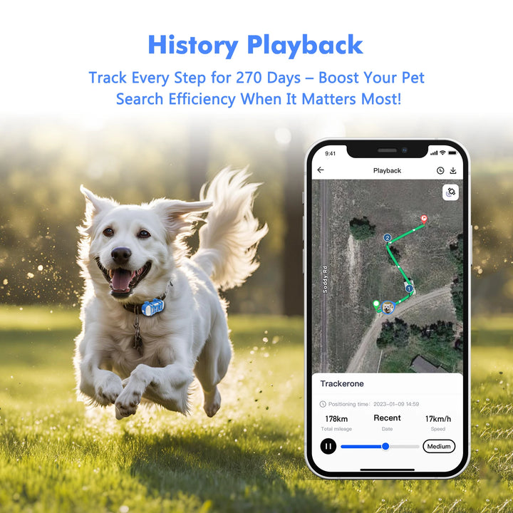 Dog GPS Collar with history playback