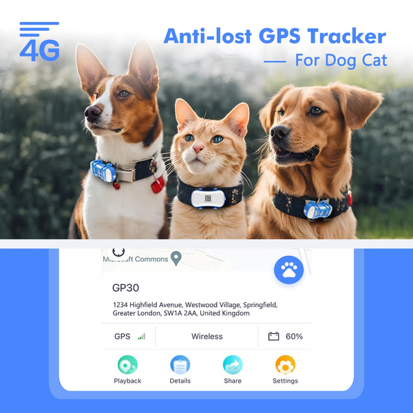 Dogs and a cat wearing GPS trackers with product features displayed