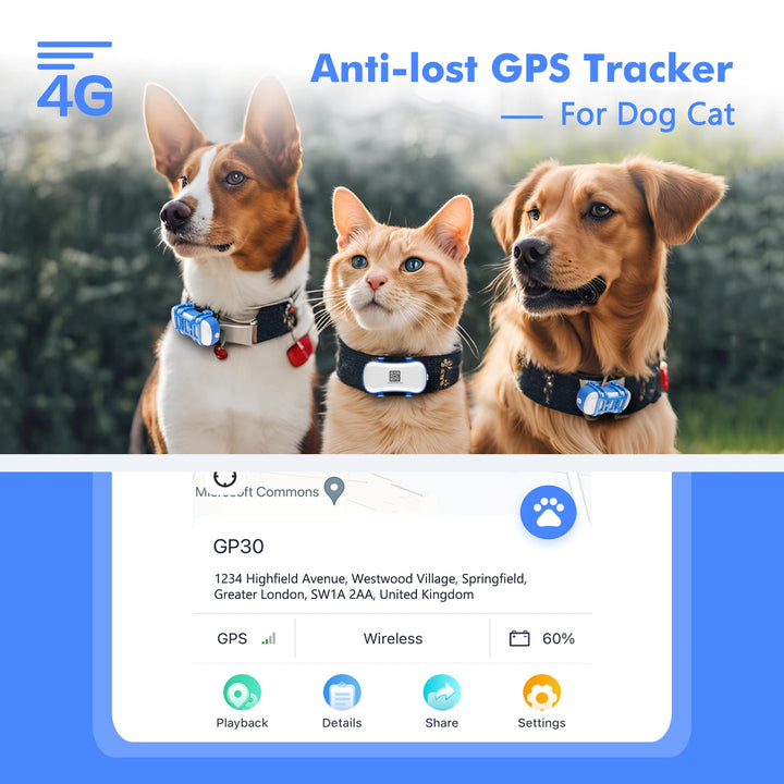 Dogs and a cat wearing GPS trackers with product features displayed
