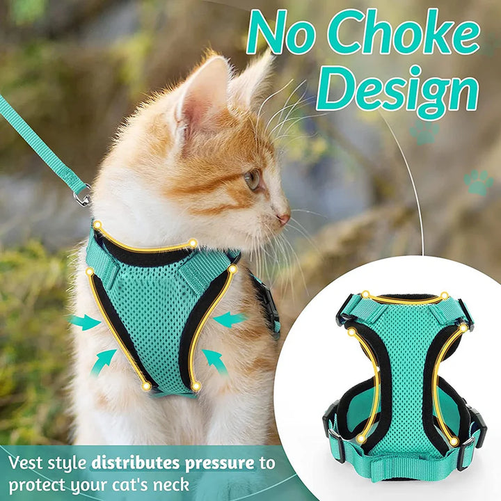 cat harness and leash