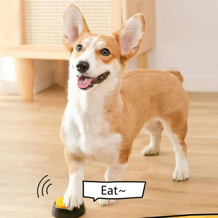Dog standing on a Dog Communication Buttons