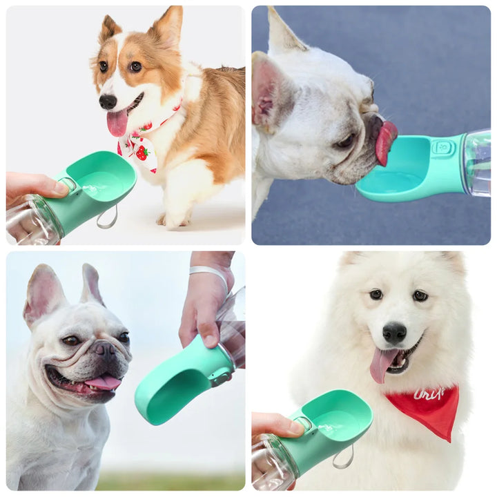 Dogs using green dog water bottle in various outdoor settings.
