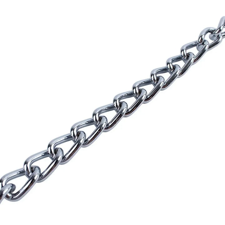 Silver dog collar chain 