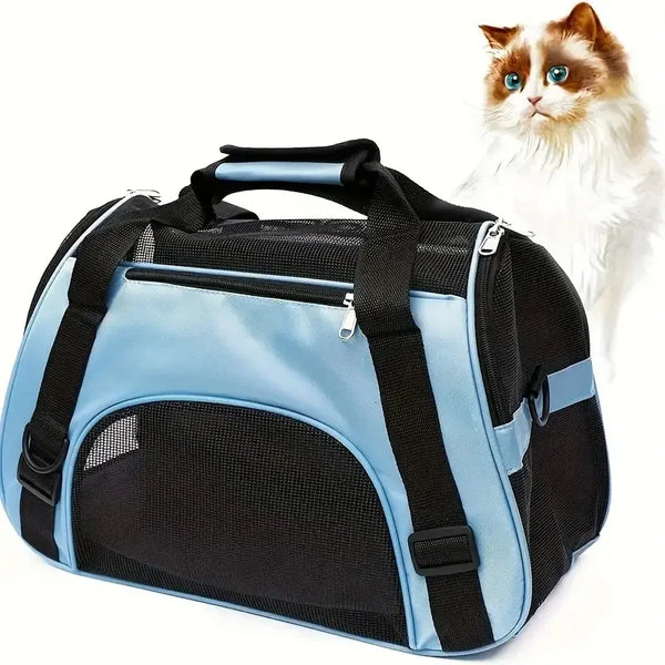 Pet carrier with cat sitting behind