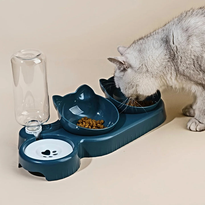 Cat eating from cat bowl