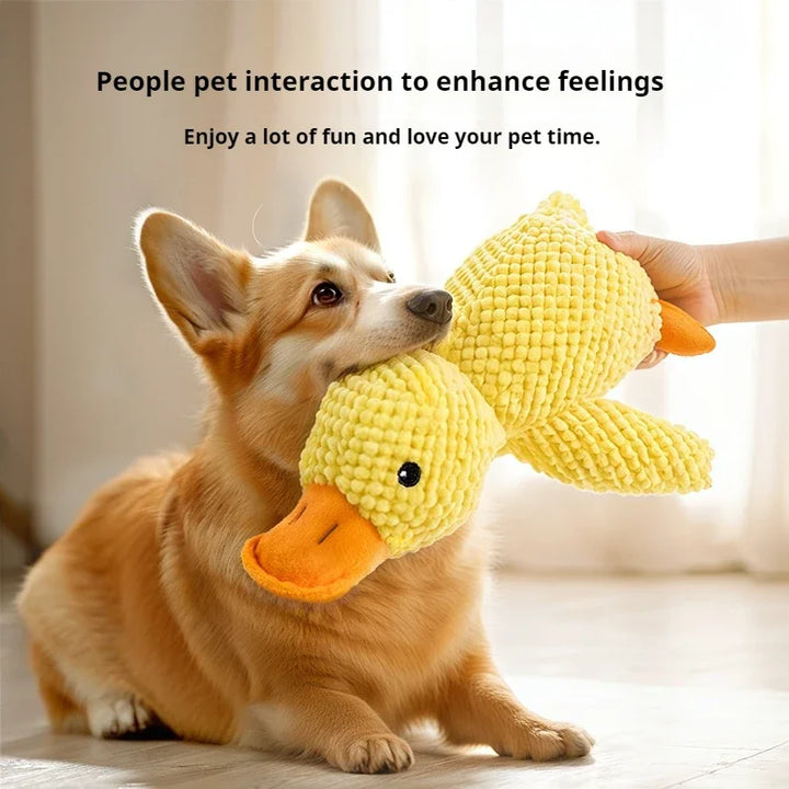 Dog playing with yellow Dog Plush Toy duck during pet interaction.