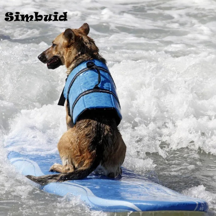 Dog wearing a blue life jacket on a surfboard in the water