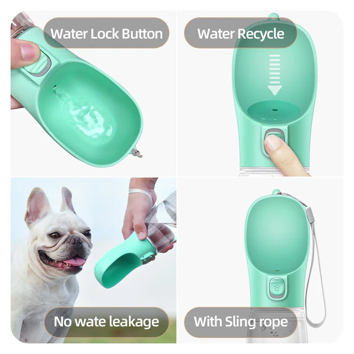 Green dog water bottle with highlighted features