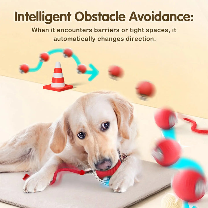 Dog with automatic ball toy