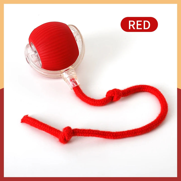 Red cat ball toy