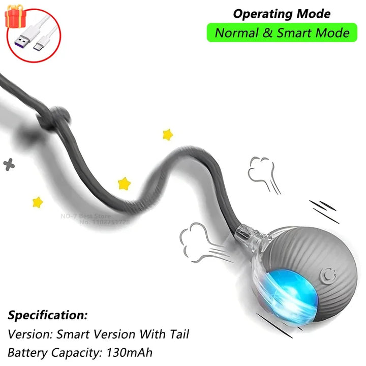 Gray Cat Ball Toy Automatic