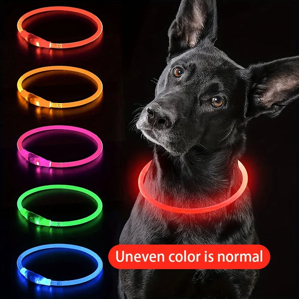 Dog wearing red LED Dog Collar Light