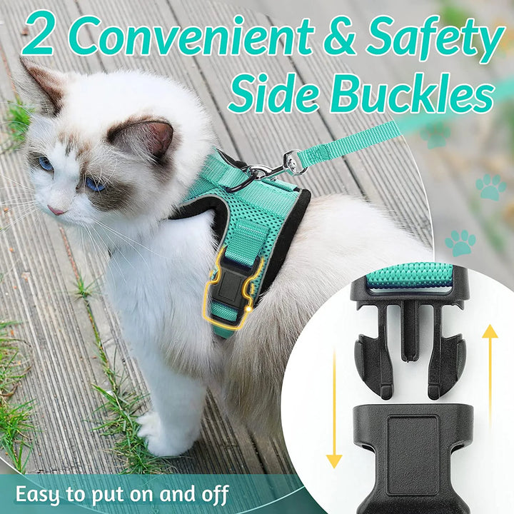 Cat wearing a cat harness and leash teal harness with side buckles