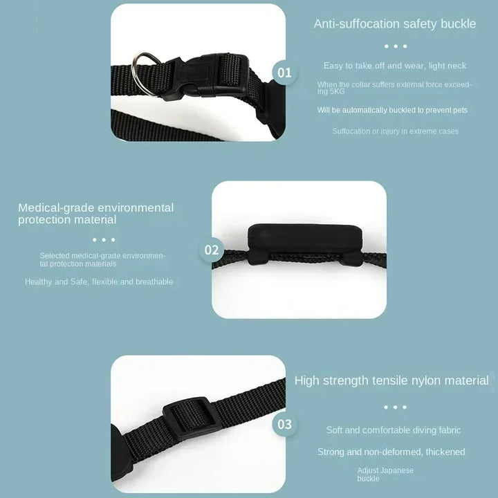 Black dog GPS collar with safety buckle features.