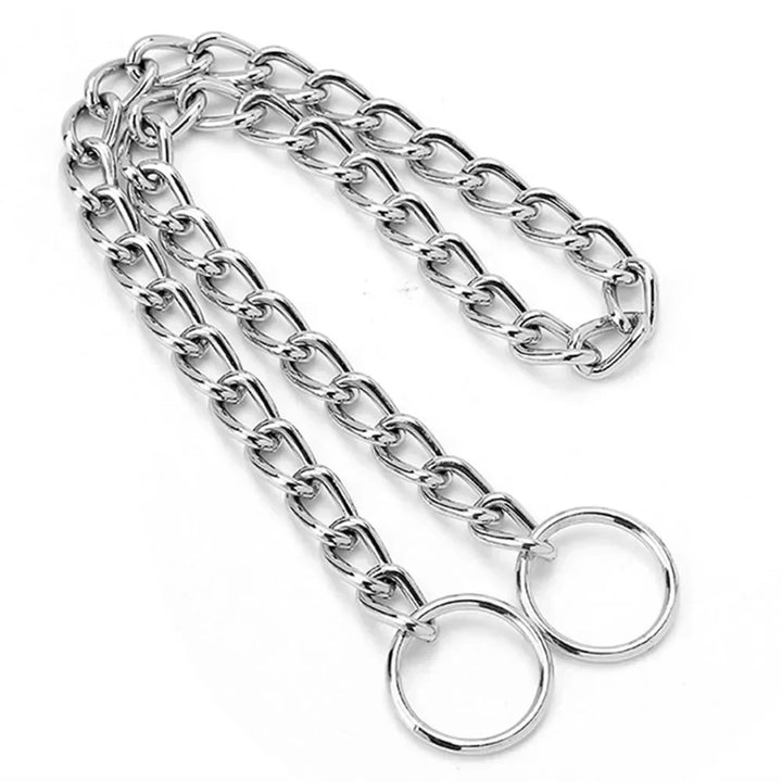 Silver dog collar chain with two rings