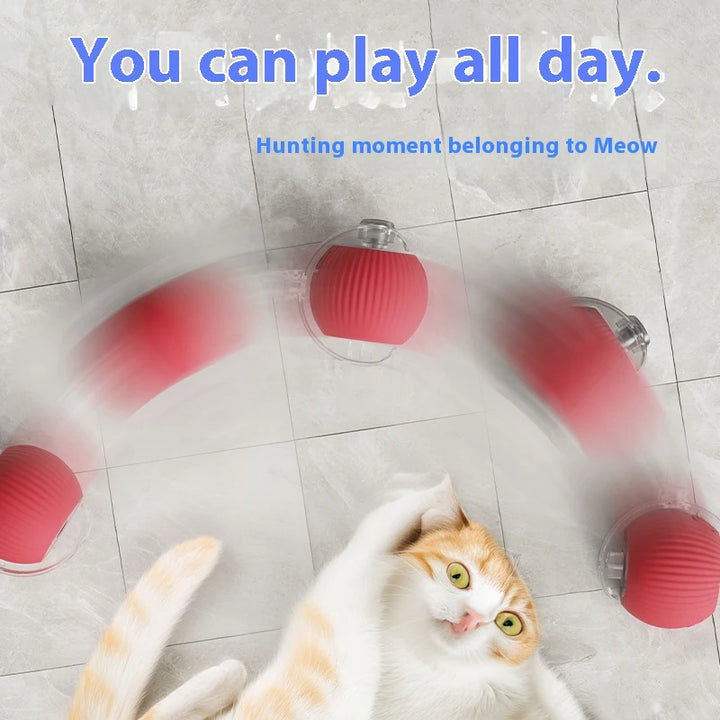 Cat playing with red and gray cat ball toy