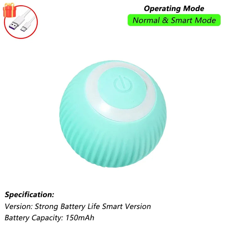 Turquoise Cat Ball Toy
