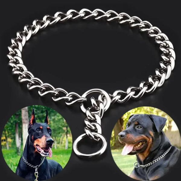 Metal chain collar with two dogs wearing similar collars images.