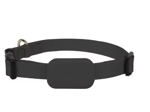 Black Dog GPS Tracker