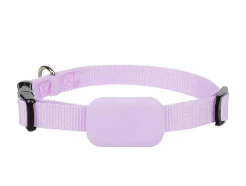 Pink Dog GPS Tracker