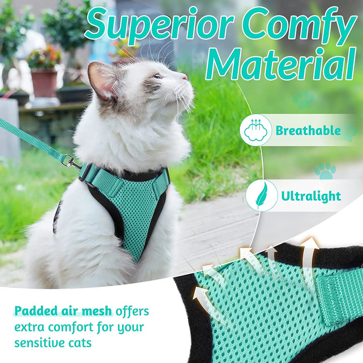 Cat wearing a green cat harness and leash
