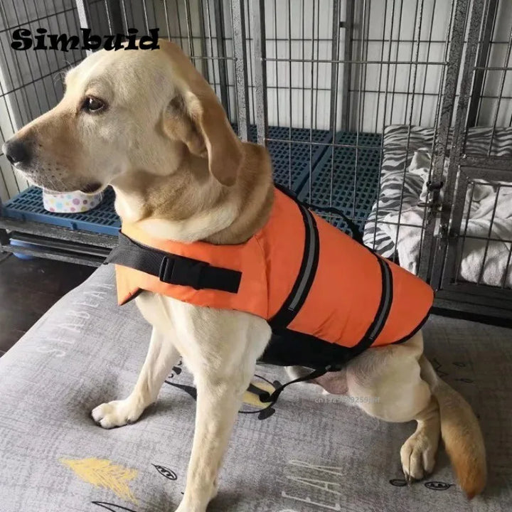Dog wearing an orange life jacket