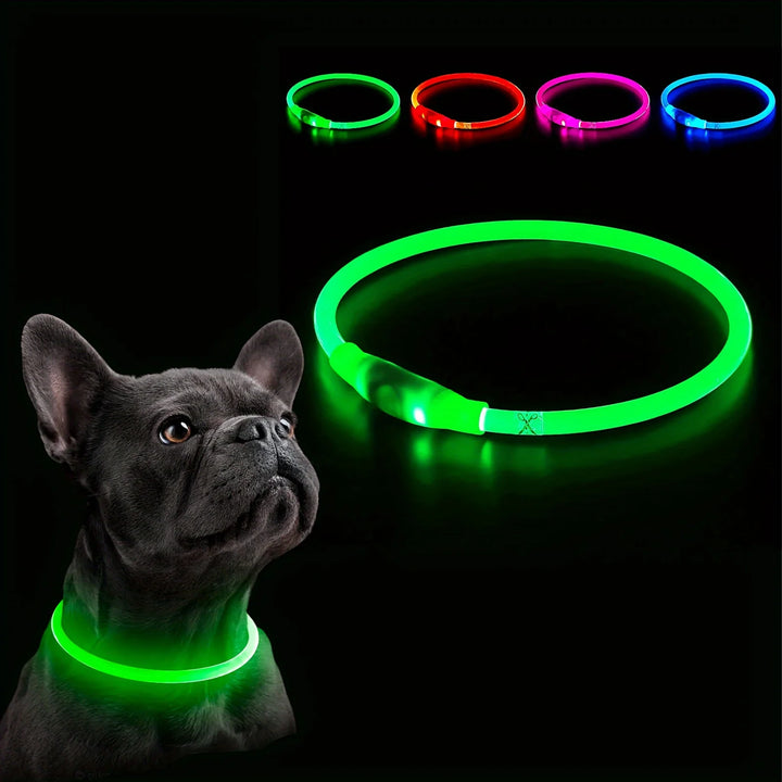 Dog wearing a green Dog Collar with additional LED collars in different colors