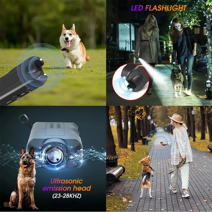 Dog training device with LED flashlight