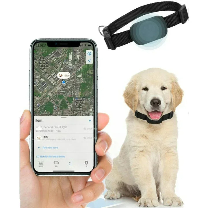 Dog GPS collar with app location tracking.