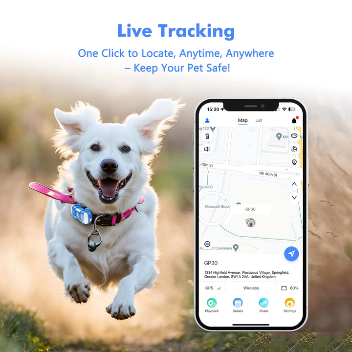 Dog running with live GPS tracking shown on smartphone screen.