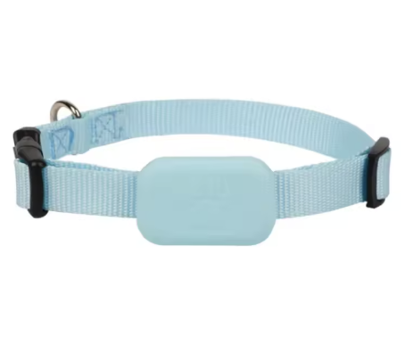 Blue Dog GPS Tracker
